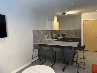 Stanza privata in Jennens Road, immagine 26 di 49