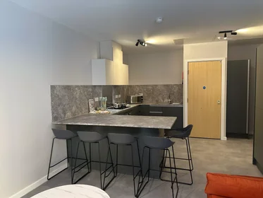 Stanza privata in Jennens Road, immagine 27 di 49
