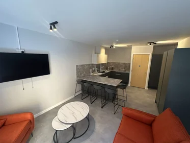 Stanza privata in Jennens Road, immagine 28 di 49