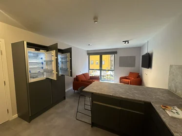 Stanza privata in Jennens Road, immagine 29 di 49