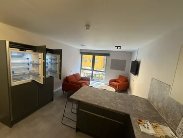 Stanza privata in Jennens Road, immagine 30 di 49