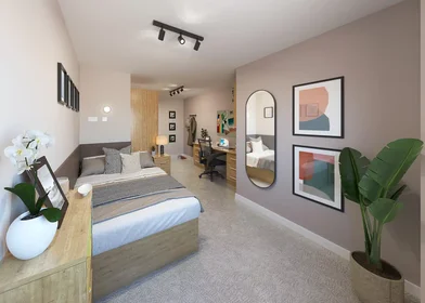 Stanza privata in Jennens Road, immagine 1 di 10