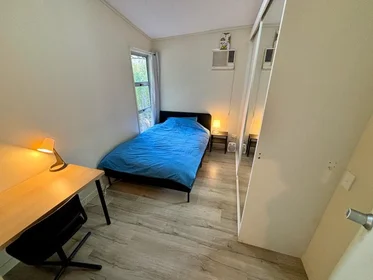 {area} de çift kişilik yataklı kiralık oda