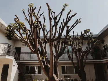 Stanza privata in Orchard Avenue, immagine 25 di 33