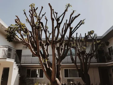 Stanza privata in Orchard Avenue, immagine 30 di 33