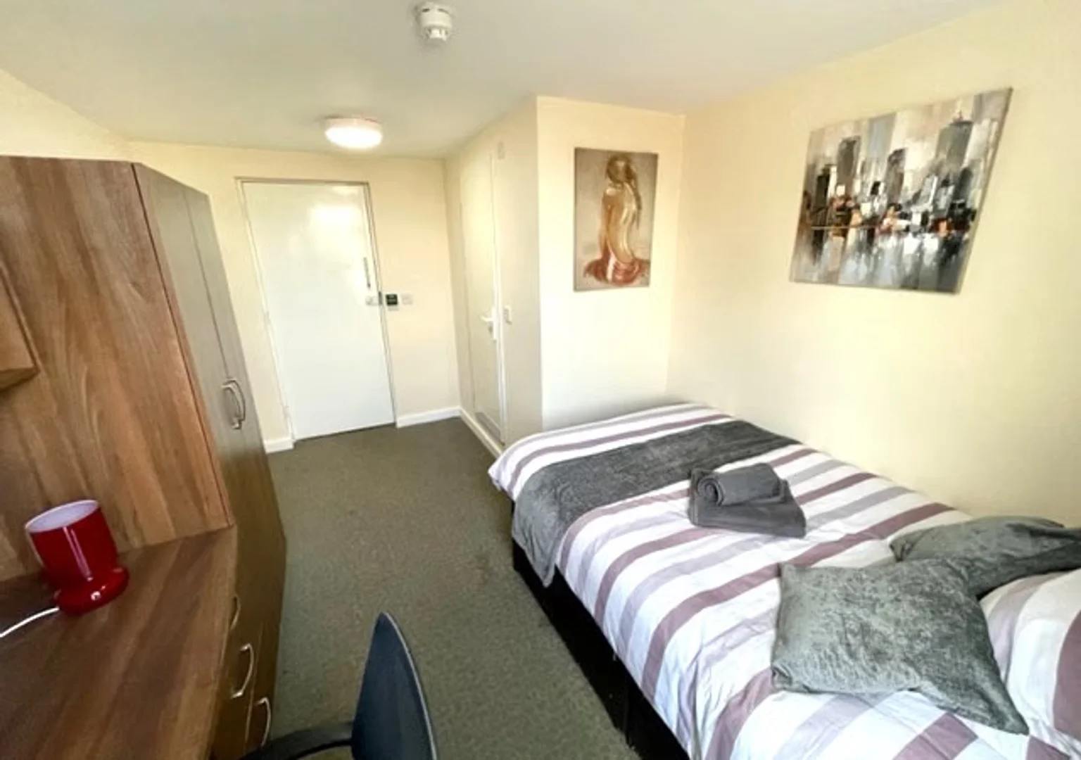 Affordable room for students with ample lighting in 