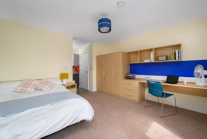 Room for rent in a shared flat in {area}
