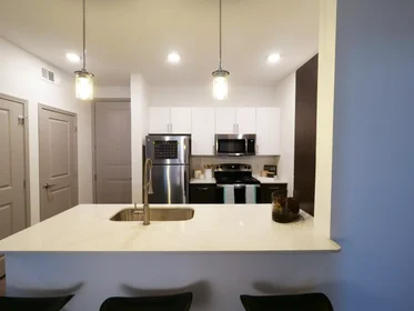 Chambre privée à South Center Street, image 49 de 49