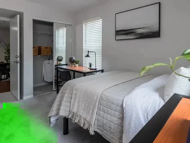 Habitación privada en West Mitchell Street, imagen 1 de 49