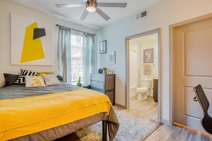 Chambre privée à South Center Street, image 35 de 49