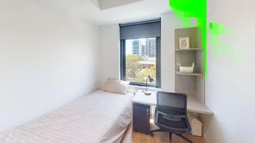 {area} de ortak bir dairede kiralık oda