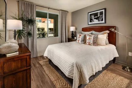 Studio at North Madison Avenue, image 1 of 24