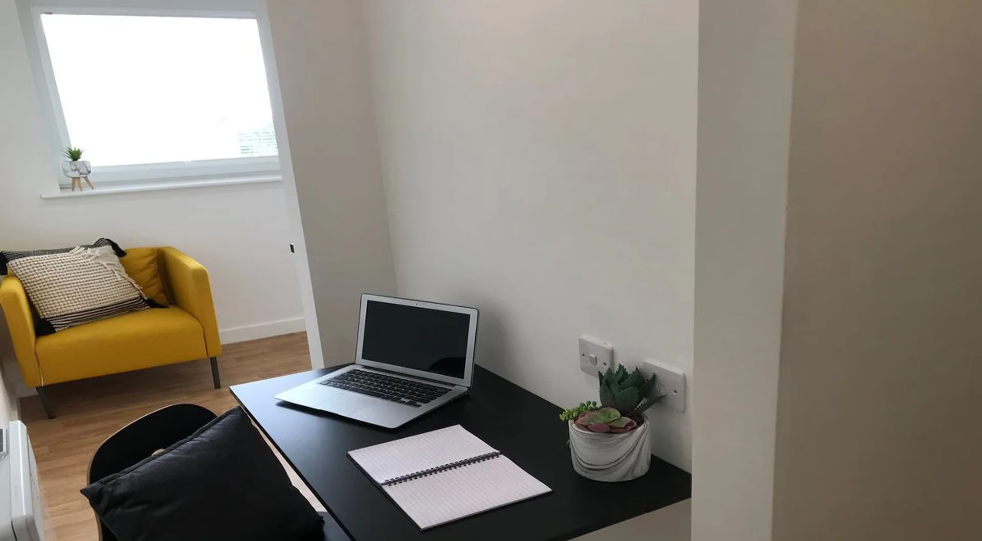 Chic studio apartment near campus in