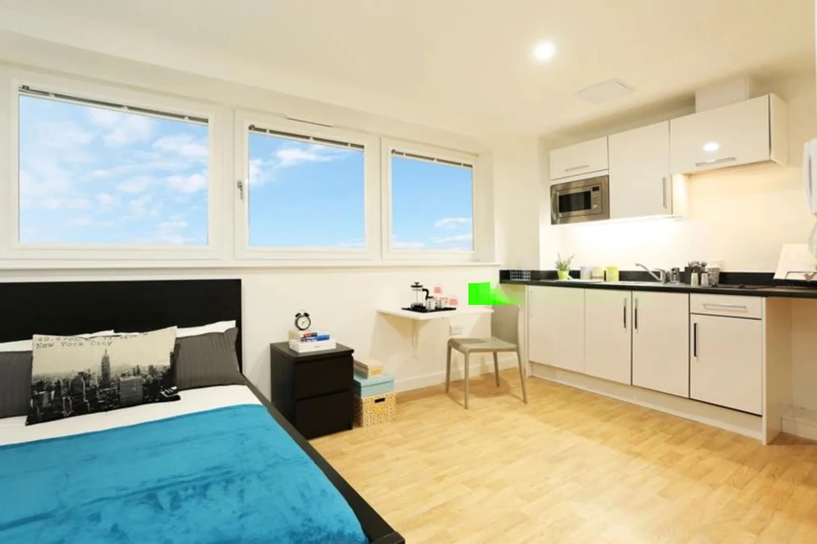 Minimalist student studio in with efficient layout