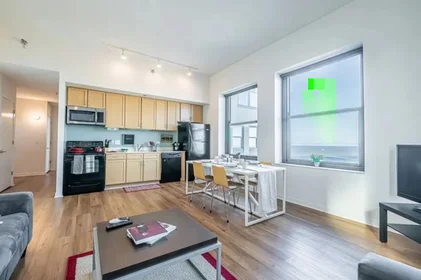 Habitación privada en East Van Buren Street, imagen 12 de 33
