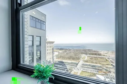 Habitación privada en East Van Buren Street, imagen 18 de 33
