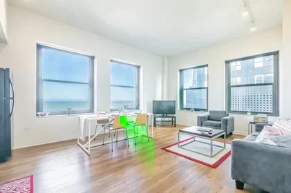 Chambre privée à East Van Buren Street, image 20 de 33