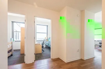 Habitación privada en East Van Buren Street, imagen 21 de 33