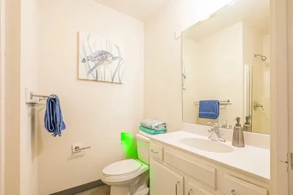 Chambre privée à East Van Buren Street, image 22 de 33