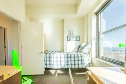 Habitación privada en East Van Buren Street, imagen 8 de 33