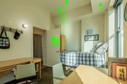 Chambre privée à East Van Buren Street, image 9 de 33