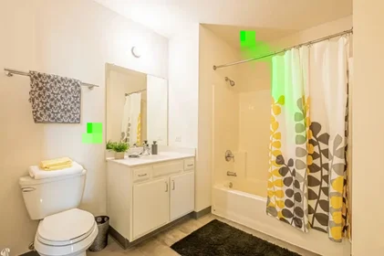 Chambre privée à East Van Buren Street, image 10 de 33