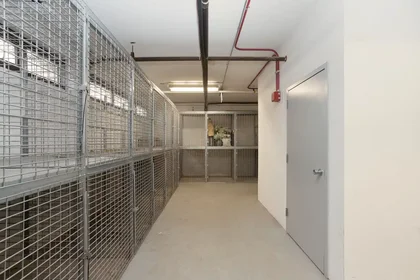 Estudio en East Hyde Park Boulevard, imagen 14 de 32