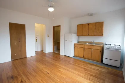 Monolocale in South Cornell Avenue, immagine 3 di 16
