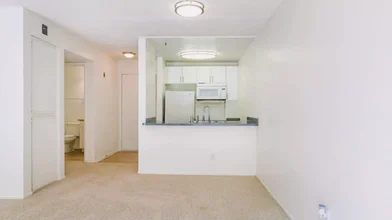 Kawalerka South De Lacey Avenue, obraz 1 10