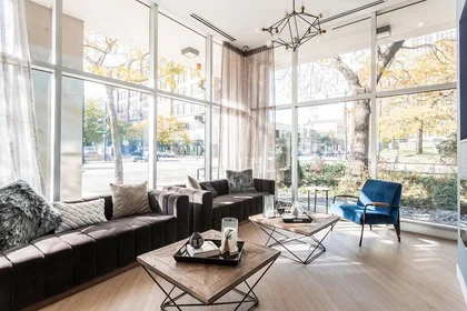 Kawalerka South Michigan Avenue, obraz 11 16