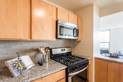 Kawalerka South Michigan Avenue, obraz 15 16