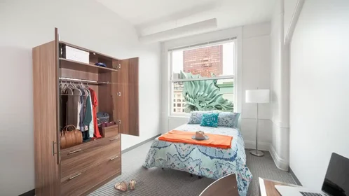 Habitación privada en West Van Buren Street, imagen 29 de 31