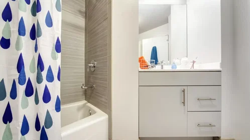Habitación privada en West Van Buren Street, imagen 30 de 31