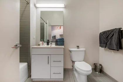 Habitación privada en West Van Buren Street, imagen 10 de 31