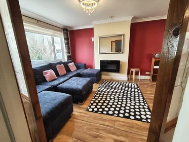 Habitación privada en Ballinteer Crescent, imagen 22 de 25