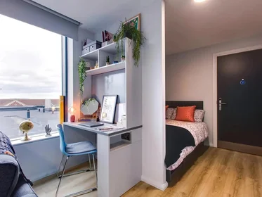 Studio at Gardiner Street Lower, image 1 of 11