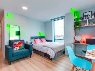Studio at Gardiner Street Lower, image 8 of 11