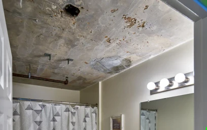 Chambre privée à Laclede Avenue, image 23 de 23