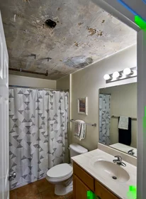 Stanza privata in Laclede Avenue, immagine 31 di 31