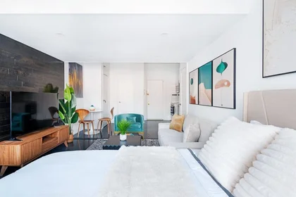 Kawalerka West 48th Street, obraz 27 49