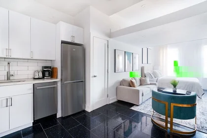 Kawalerka West 48th Street, obraz 31 49