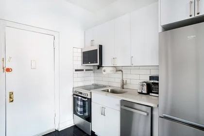 Kawalerka West 48th Street, obraz 39 49