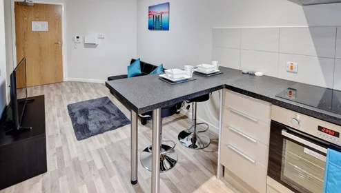 Privatzimmer in der Holborn Approach, bild 33 von 38