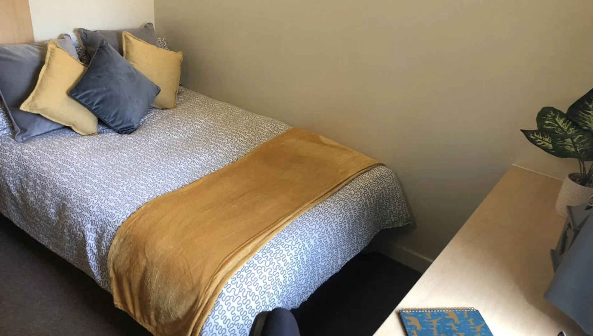 Camera per studenti economica vicino al campus a 