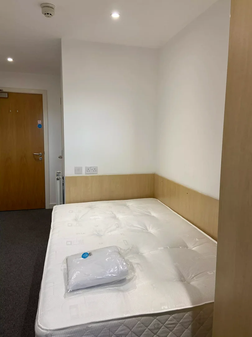 Cozy room for students available in 