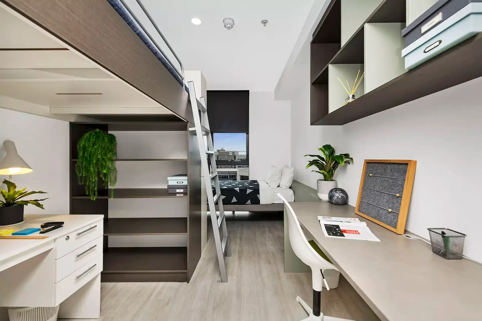 Comfortable and spacious student room in 