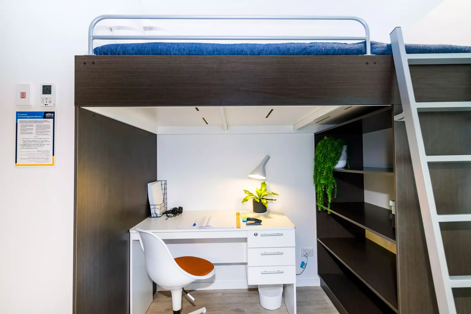 Affordable room for students with ample lighting in 