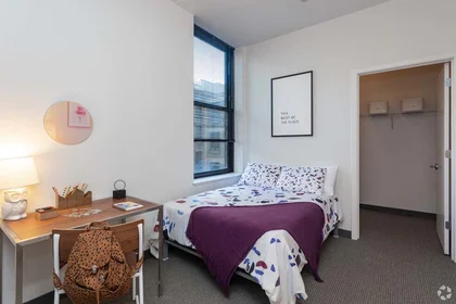 Stanza privata in East Jackson Boulevard, immagine 31 di 33