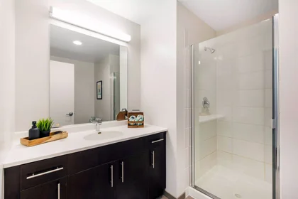 Stanza privata in East Jackson Boulevard, immagine 27 di 33