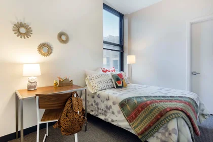 Stanza privata in East Jackson Boulevard, immagine 28 di 33